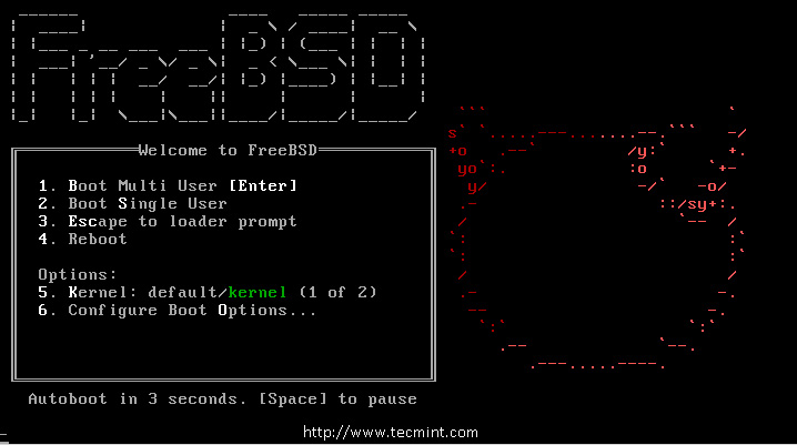 FreeBSD VPS Hosting By SolVPS VPS Hosting