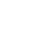 Mobile Icon