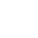 WordPress Icon